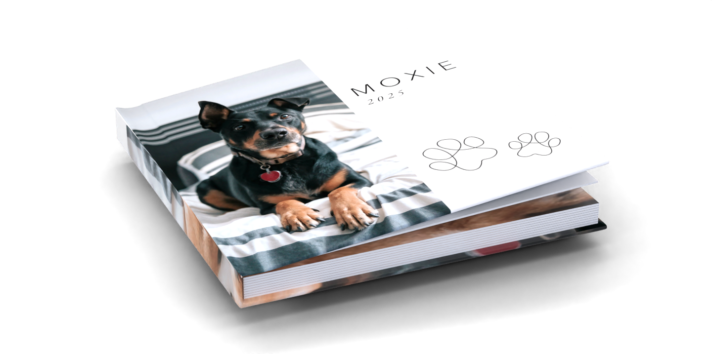 3D рендер 1