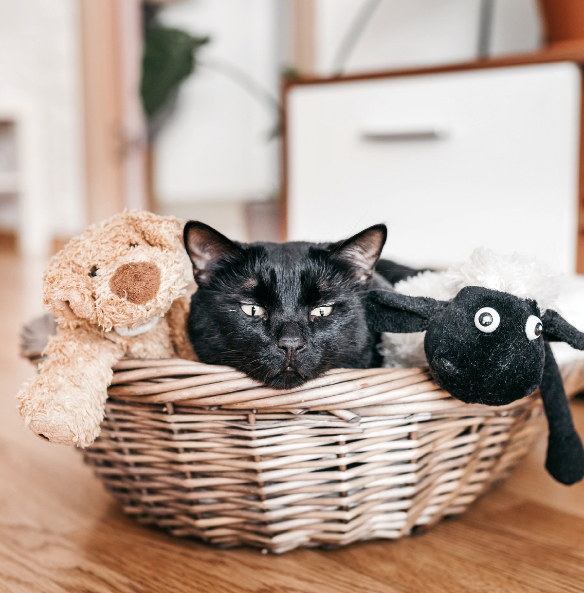 3D рендер 17